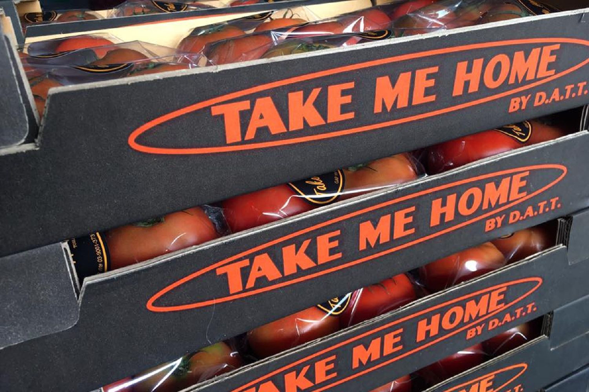 ‘Take Me Home’ ผู้นำมะเขือเทศไทย ‘Take Me Home’ ผู้นำมะเขือเทศไทย