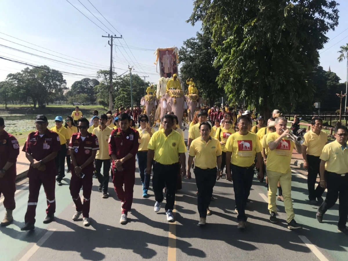ช้างกรุงเก่าแต่งเหลืองน้อมสำนึกพระมหากรุณาธิคุณคล้ายวันสวรรคตร.9