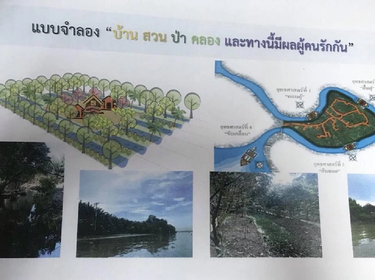 "ป่าไม้" แจงการตัดไม้ที่บางกระเจ้า ไม่ใช่การทำลายป่า