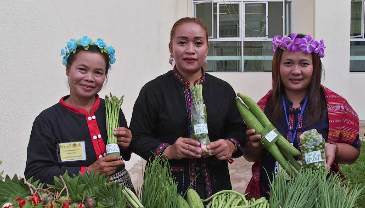 เที่ยวกาฬสินธุ์ เยือนถิ่นผู้ไท