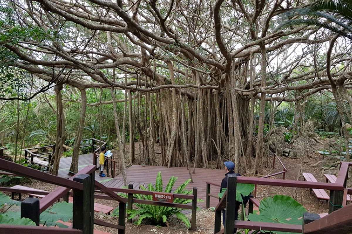 Mensooree Okinawa (4)