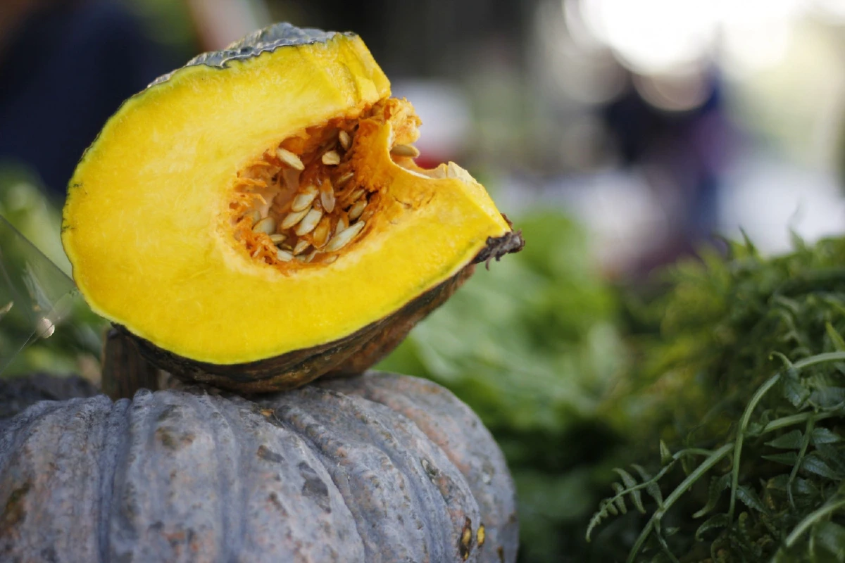 ตลาดสุขใจสัญจร มาตามนัด @เอสซีบีปาร์ค