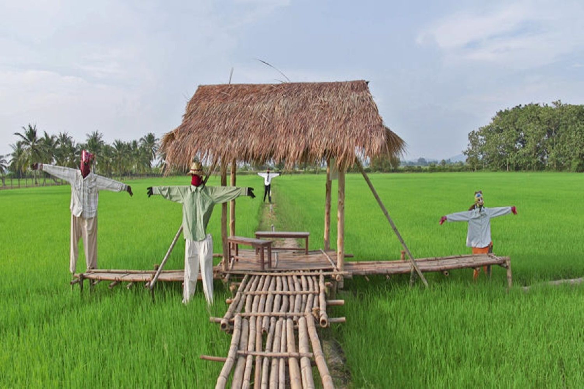 เที่ยวสุพรรณบุรี นวัตวิถีบ้านพุน้ำร้อน ชุมชนป่าสะแก ถิ่นกำเนิดขุนโจรเสือดำ เที่ยวสุพรรณบุรี นวัตวิถีบ้านพุน้ำร้อน ชุมชนป่าสะแก ถิ่นกำเนิดขุนโจรเสือดำ