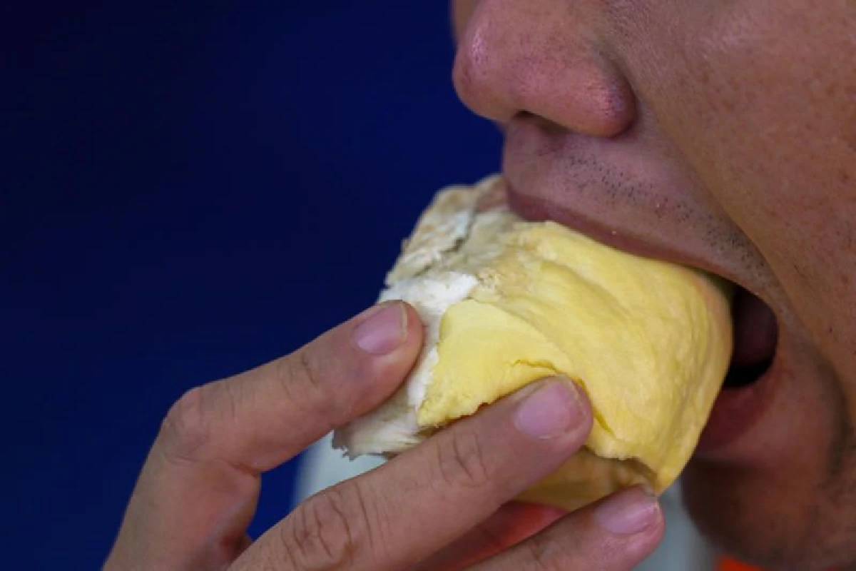 หวั่นเสือสูญพันธุ์! เหตุเกษตรกรมาเลย์แห่ถางป่าปลูกทุเรียนส่งขายจีน