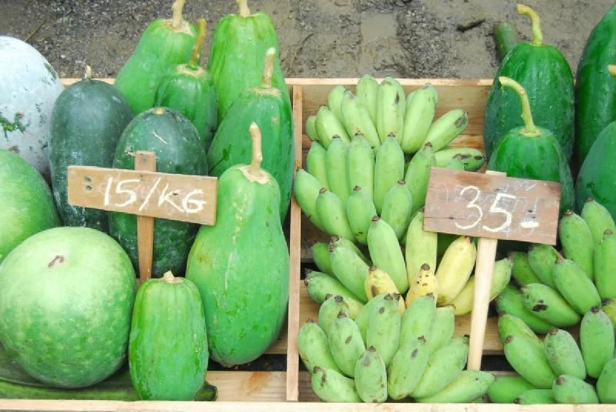 ตลาดรักพูนพูน ชุมชนคนรักอินทรีย์