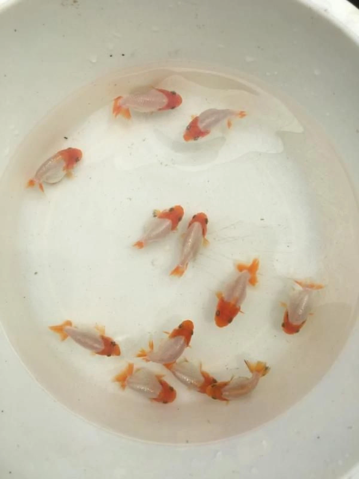 ‘วาริท’ผู้สร้าง บ้านโป่ง ฟิชฟาร์ม