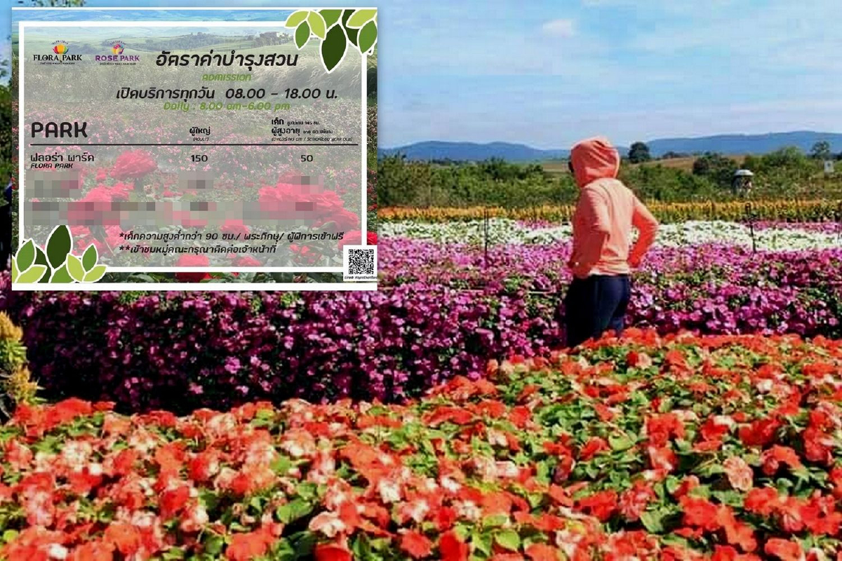 เปิดข้อมูล"ฟลอร่าพาร์ค-ฟ้าประทานฟาร์ม"หลังส.ป.ก.ชี้ถือครองที่ดินผิดกม. เปิดข้อมูล"ฟลอร่าพาร์ค-ฟ้าประทานฟาร์ม"หลังส.ป.ก.ชี้ถือครองที่ดินผิดกม.