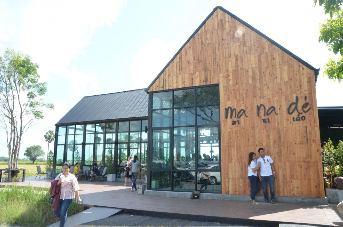 มา นา เด้อ คาเฟ่กลางทุ่งนาเมืองดอกบัว