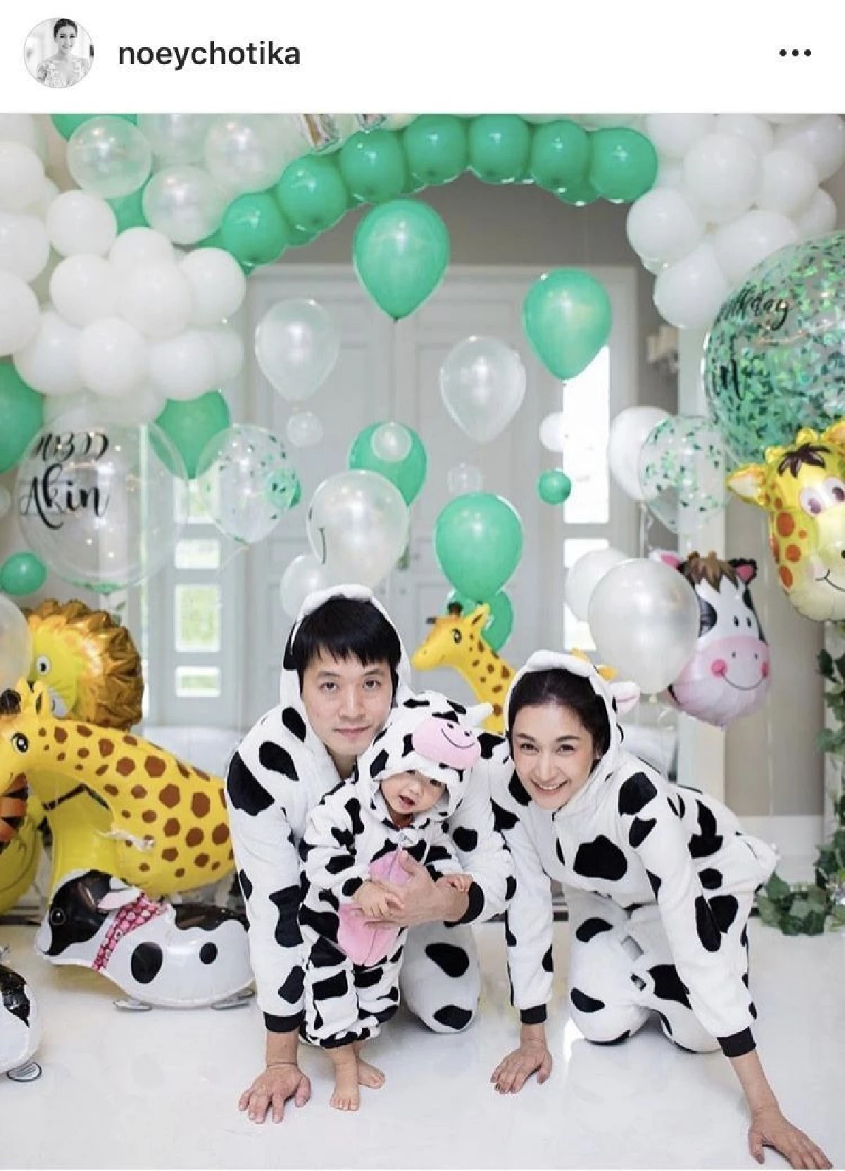 ส่องปาร์ตี้วันเกิด น้องอคิณ สวมชุดสัตว์น่ารักพร้อมหน้าพ่อแม่ลูก (คลิป)