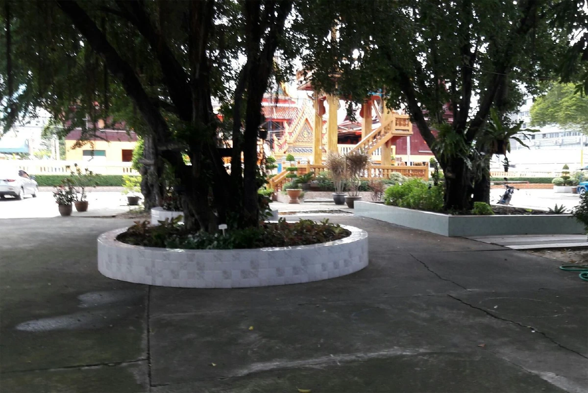 วัดไทร ระฆังดังดี บรรยากาศร่มรื่น