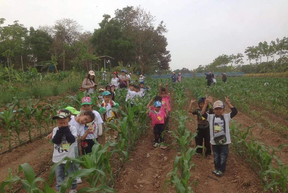 บุญมีชัยฟาร์มสุรินทร์ ต้นแบบสวนเกษตรผสมผสาน