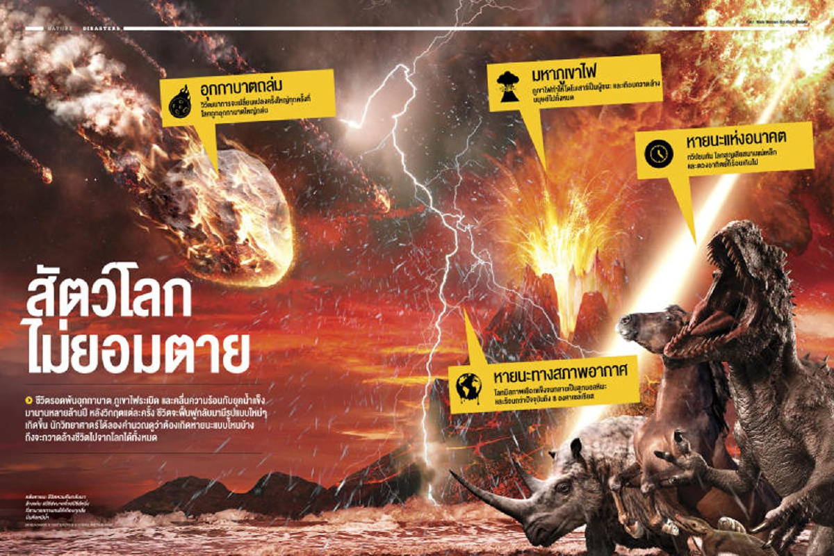 สัตว์โลก ไม่ยอมตาย สัตว์โลก ไม่ยอมตาย