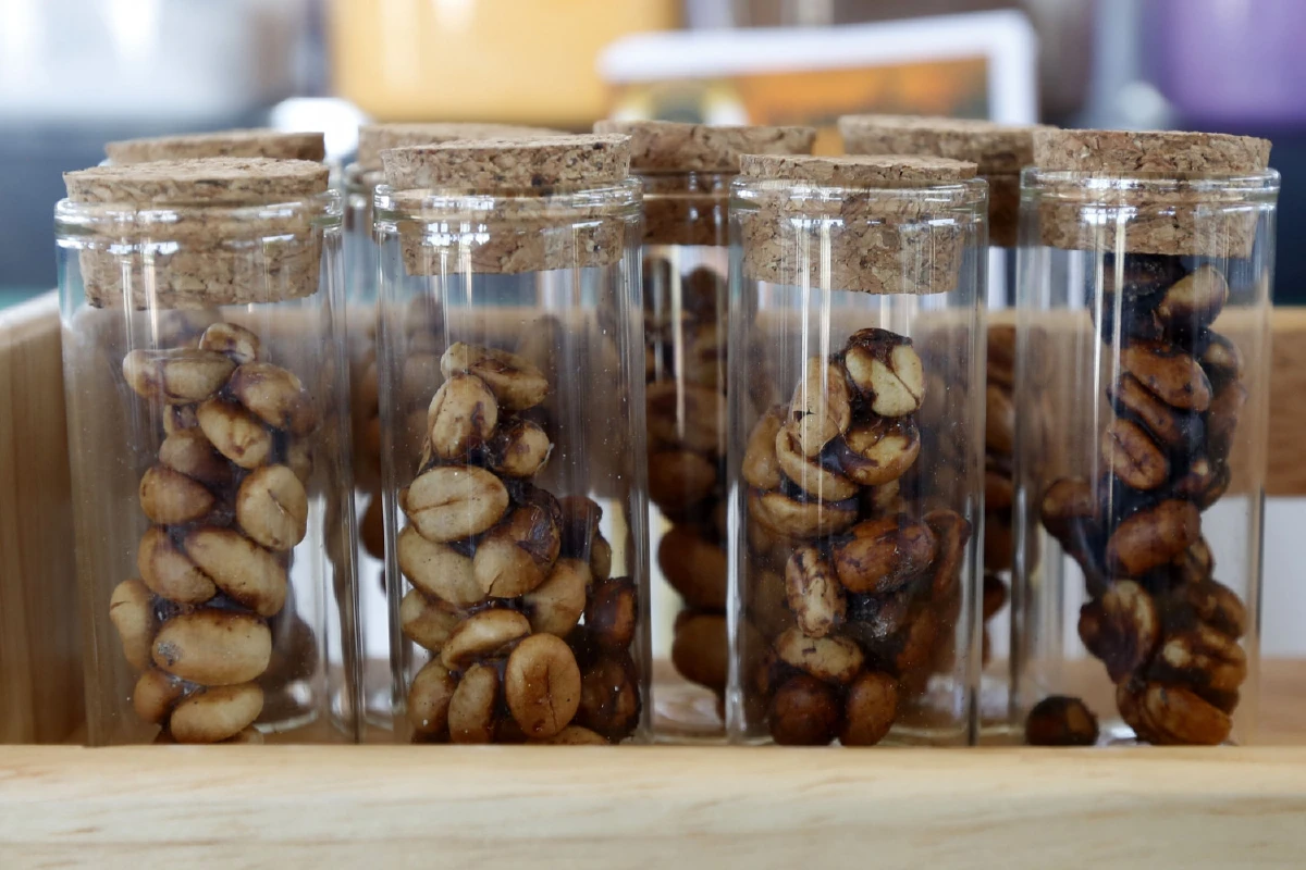 เกียรติศักดิ์ คำวงษา กาแฟขี้ชะมดเปลี่ยนชีวิต