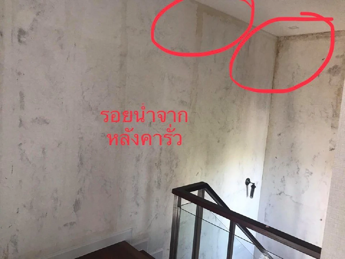 หญิงขอความช่วยเหลือซื้อบ้าน 25 ล้าน แต่อยู่ไม่ได้-เพราะปัญหาเพียบ