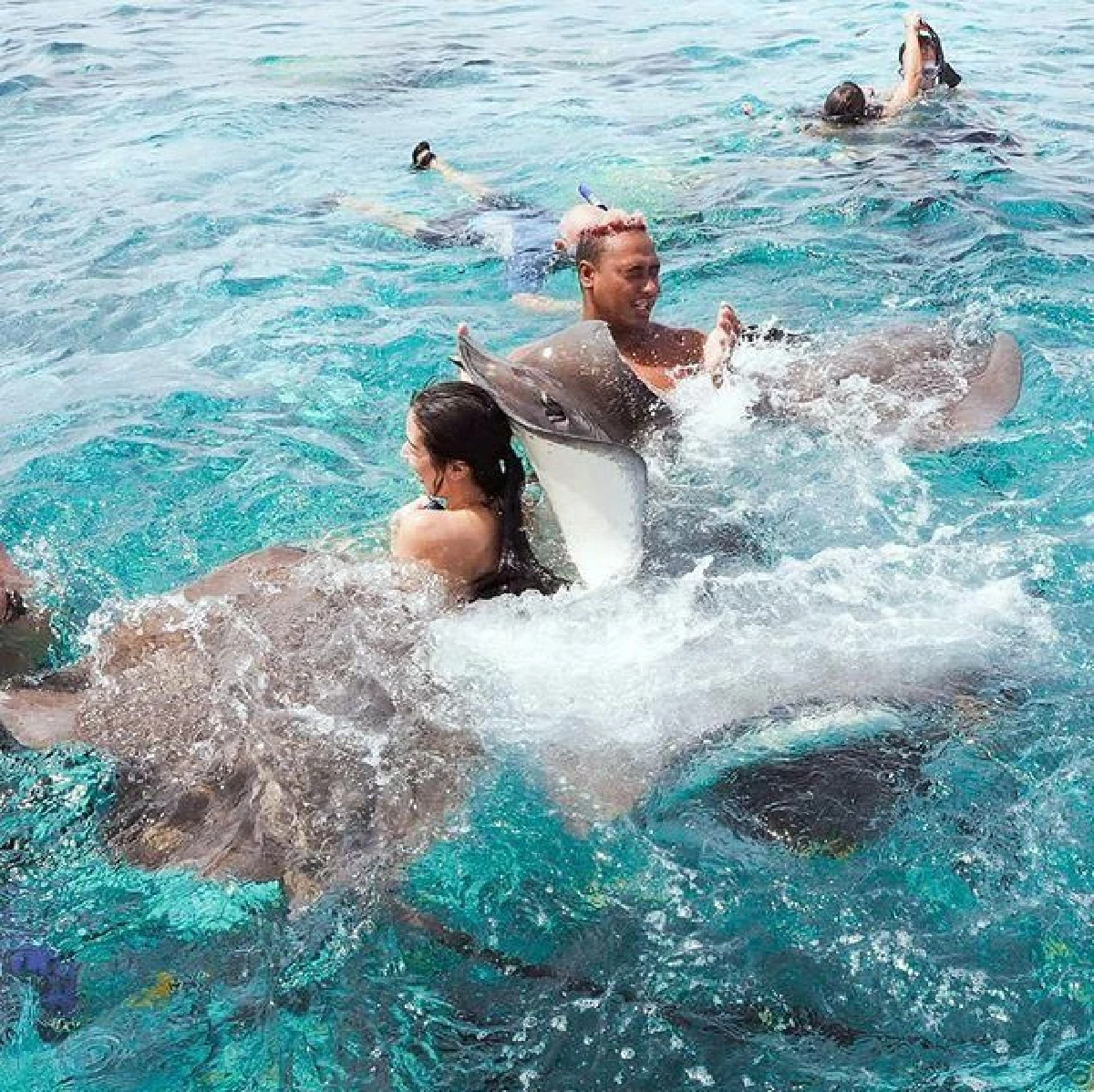 "มิ้นต์ ชาลิดา” อวดภาพสุดแฮปปี้ ว่ายน้ำเล่นกับฝูงปลากระเบนอย่างใกล้ชิดที่โบราโบร่า