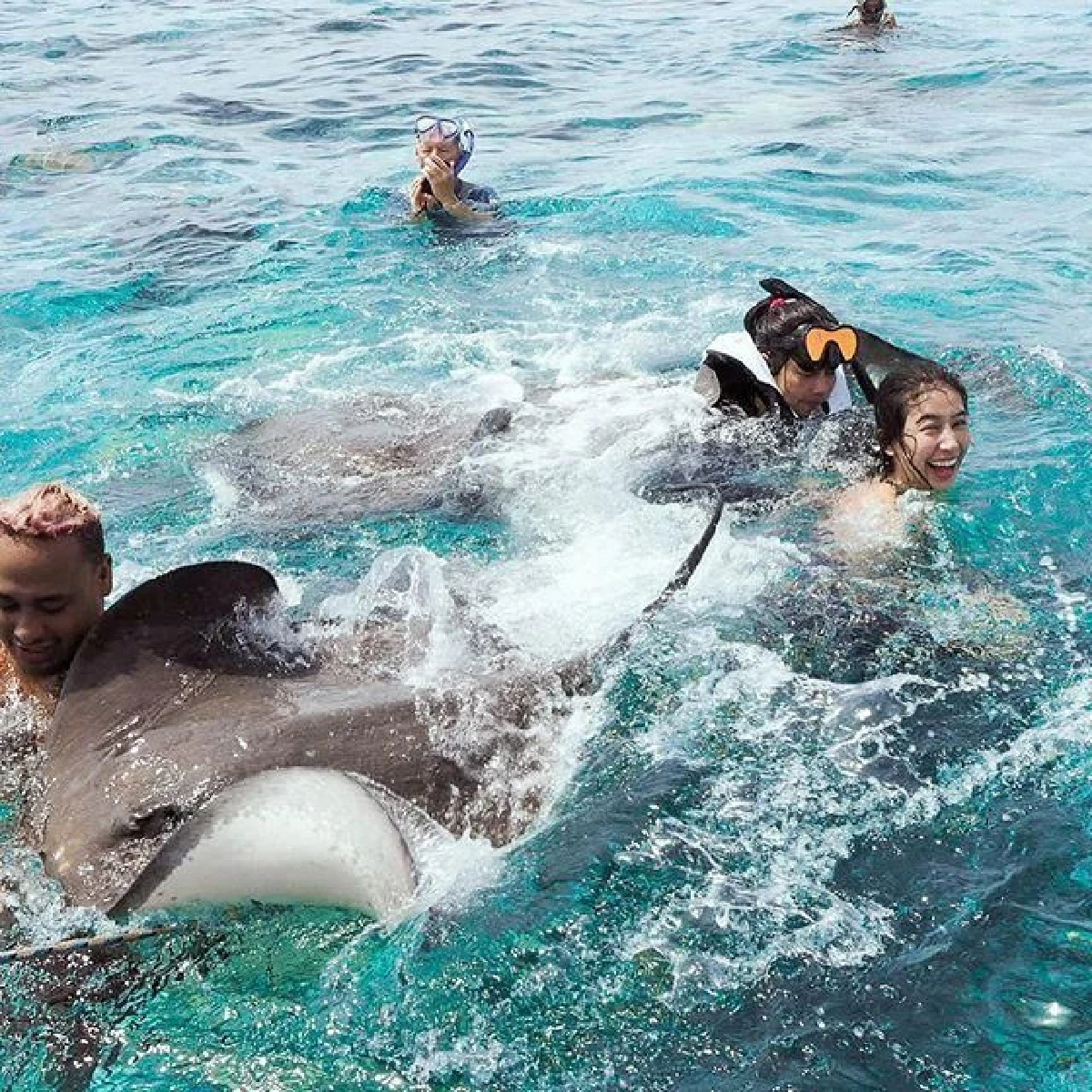 "มิ้นต์ ชาลิดา” อวดภาพสุดแฮปปี้ ว่ายน้ำเล่นกับฝูงปลากระเบนอย่างใกล้ชิดที่โบราโบร่า