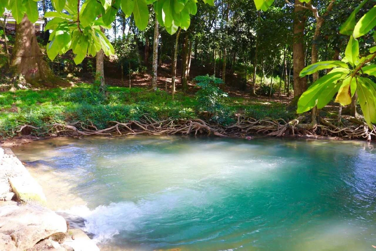 เปิดให้นักท่องเที่ยวชมแล้ว! ขุนน้ำนางนอนและพื้นที่บริเวณหน้าถ้ำหลวงเชียงราย