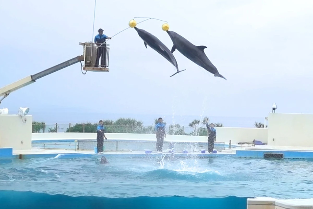 ขับไปเที่ยวไป ในโอกินาวา (2)