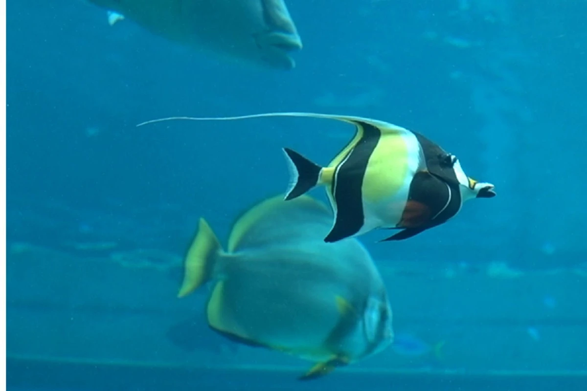 ขับไปเที่ยวไป ในโอกินาวา (2)