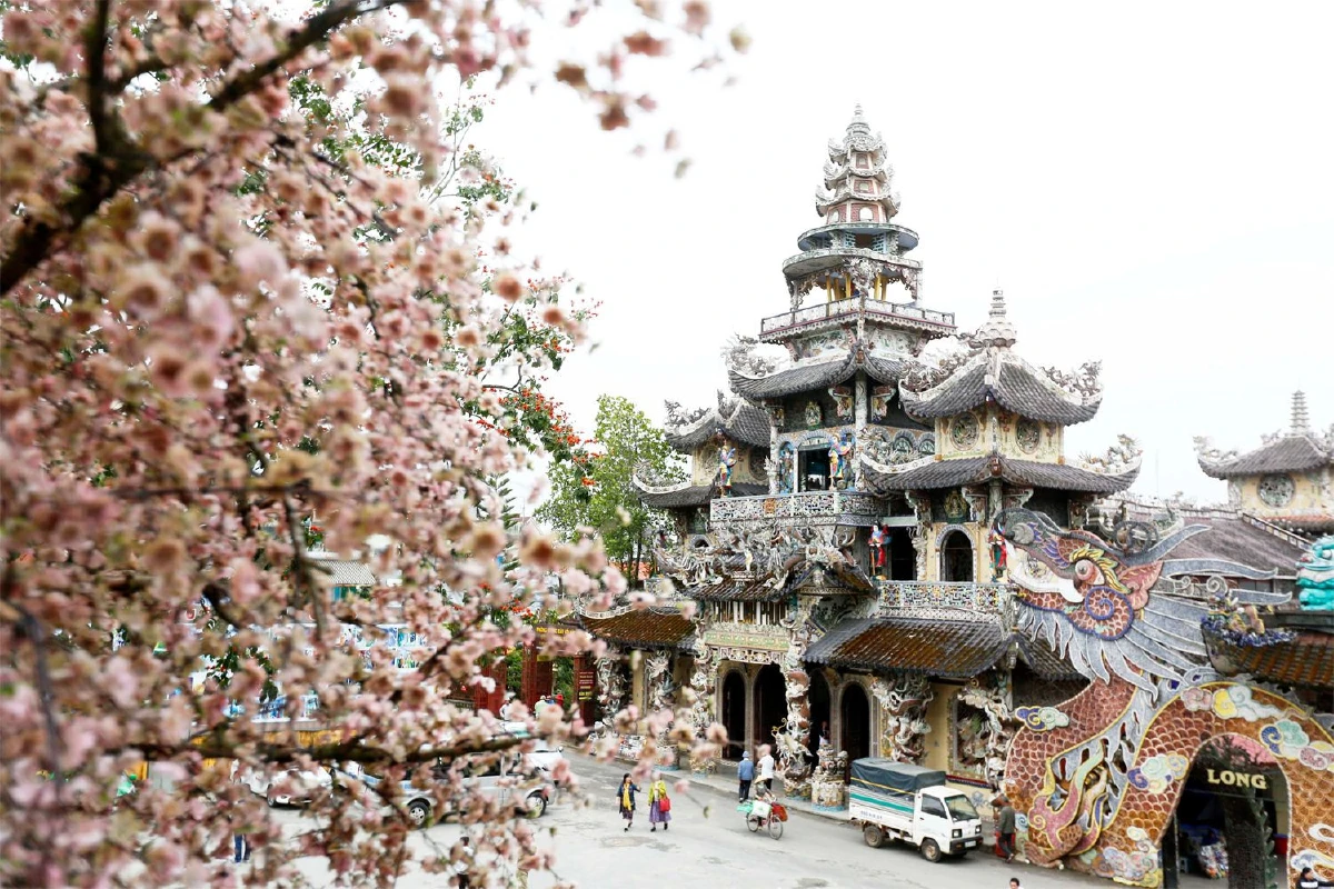 ‘ดาลัด’ ปารีสแห่งตะวันออก สูดกลิ่นหอมของฤดูใบไม้ผลิ