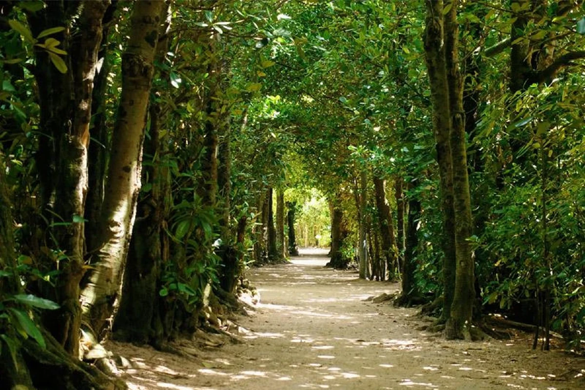 ขับไปเที่ยวไป ในโอกินาวา (3)