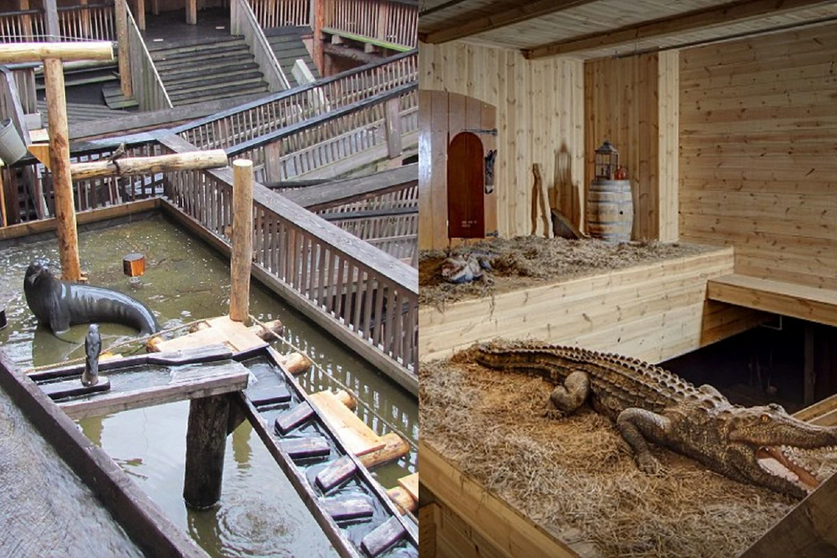 ช่างไม้ชาวดัตช์ลงทุนต่อเรือโนอาห์ในตำนาน