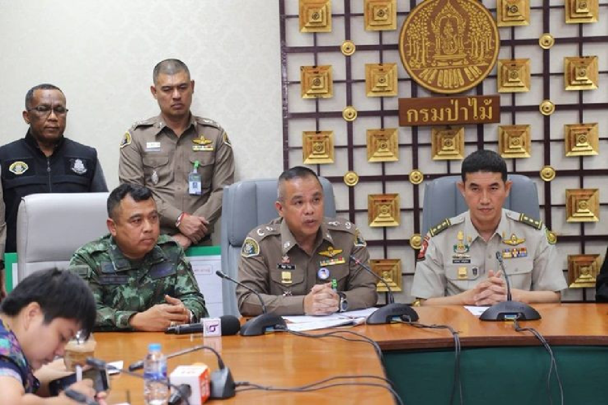 “อธิบดีป่าไม้”โต้รับส่วยมู่หลานแลกตำแหน่ง “อธิบดีป่าไม้”โต้รับส่วยมู่หลานแลกตำแหน่ง