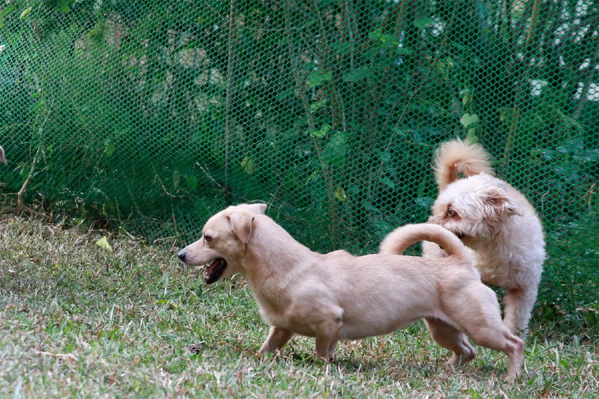 ธนพัต ทับทอง ชีวิตที่เต็มไปด้วยอิสรภาพ