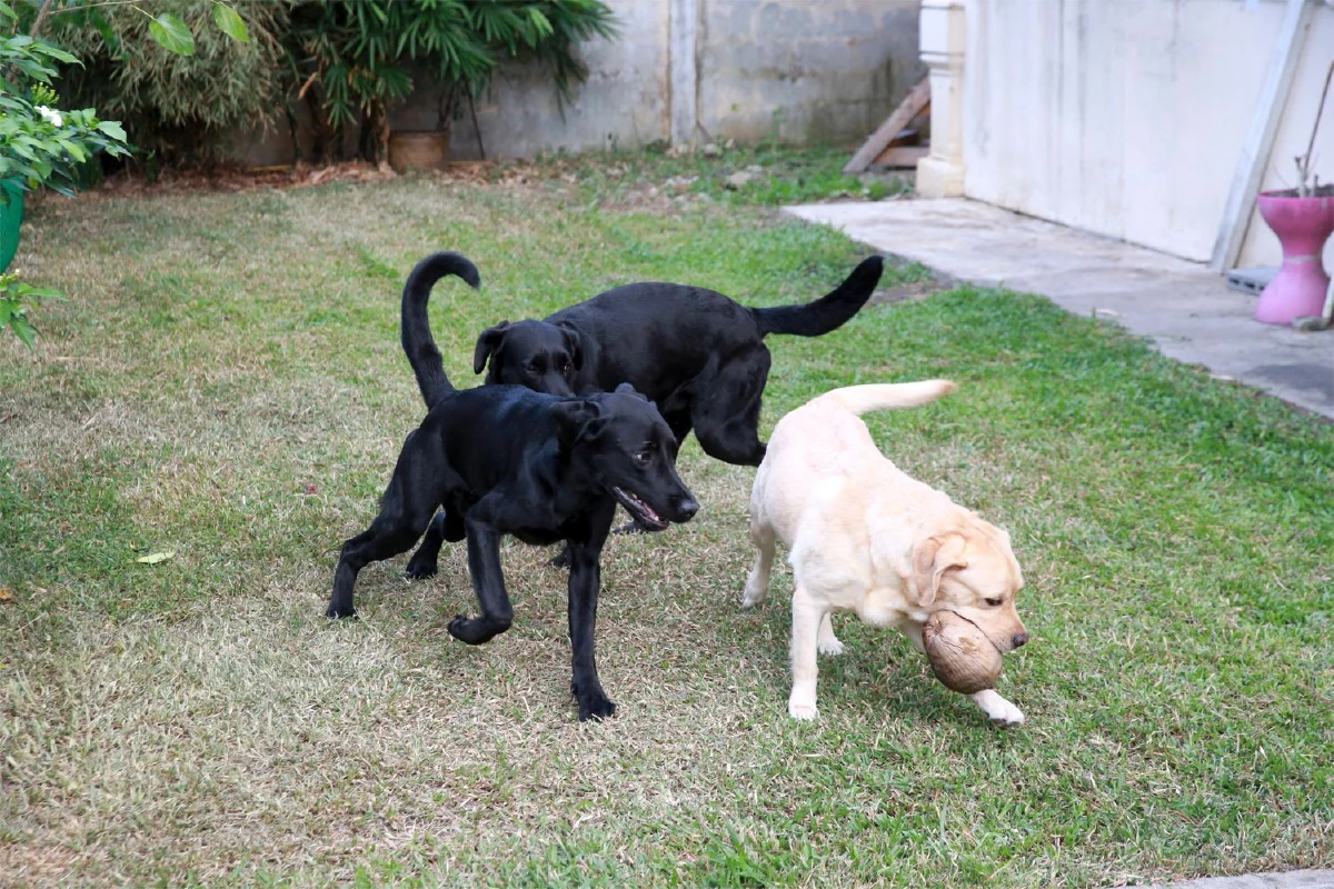 ธนพัต ทับทอง ชีวิตที่เต็มไปด้วยอิสรภาพ