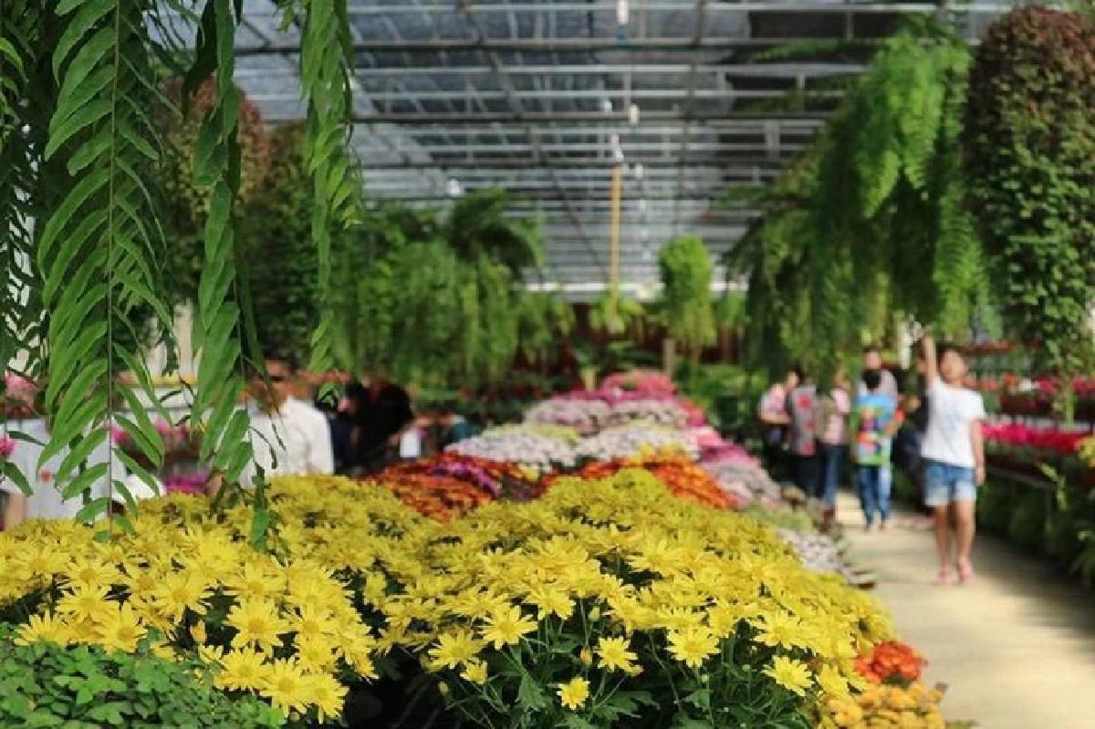 ฟลอร่าพาร์ค-ฟ้าประทานฟาร์มเมินสปก.เปิดให้นักท่องเที่ยวเข้าชมตามปกติ