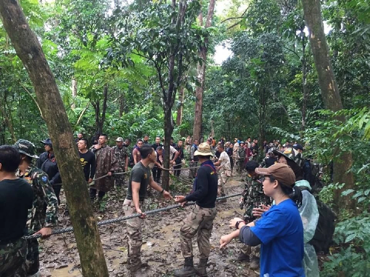 กรมอุทยานฯเผยภาพเคลื่อนย้ายช้างกลับคืนสู่ป่าฮาลาบาลา