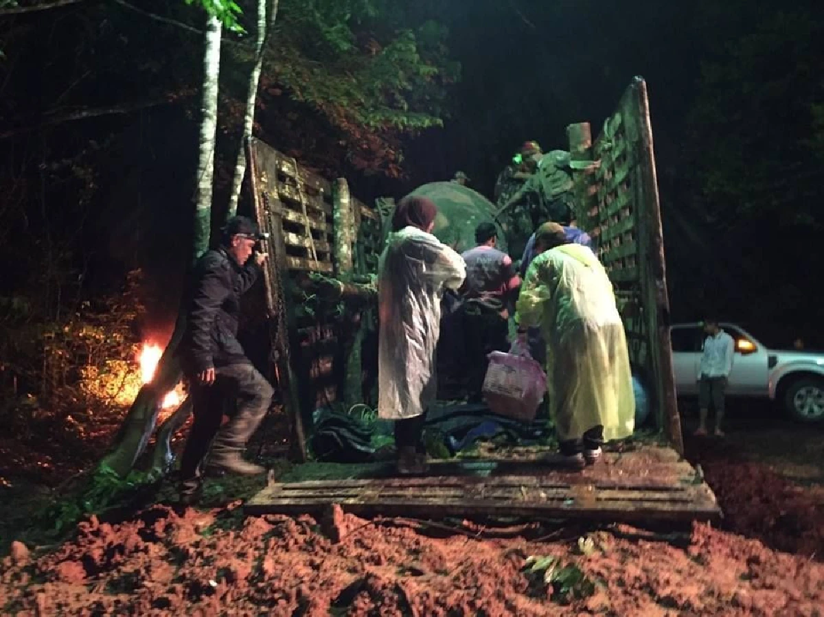 กรมอุทยานฯเผยภาพเคลื่อนย้ายช้างกลับคืนสู่ป่าฮาลาบาลา