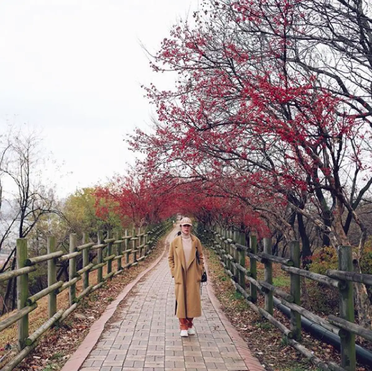 คนโสดห้ามดู! “หมาก-คิม” ควงกันสวีทหวานที่เกาหลี รับลมเย็นชิวๆ