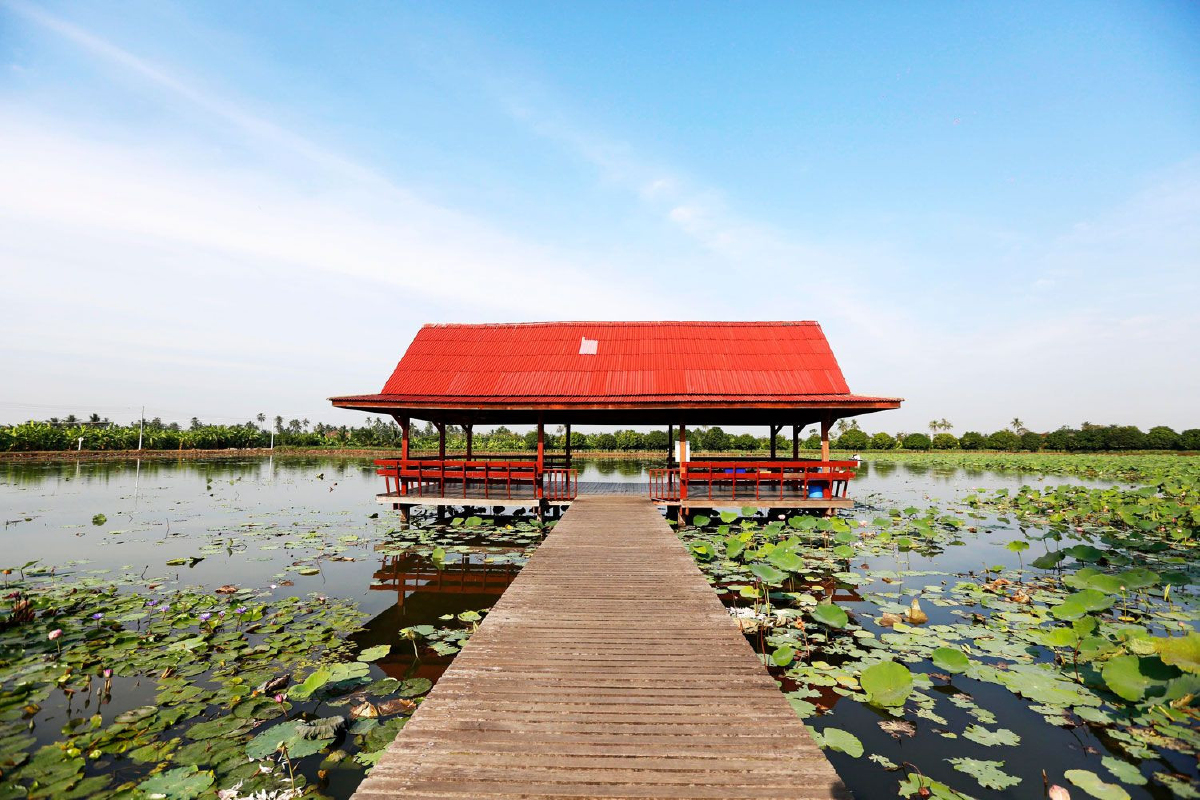 คลองมหาสวัสดิ์ บานฉ่ำ สีบานเย็น คลองมหาสวัสดิ์ บานฉ่ำ สีบานเย็น