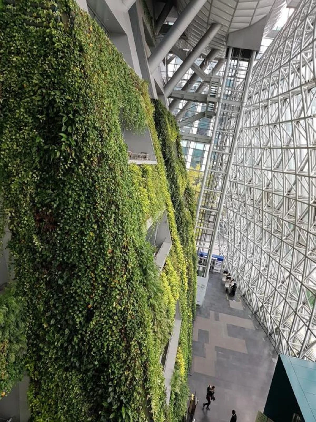 กรุงโซล...ที่ซึ่งฉันกับเธอ เชื่อมโยงและอยู่ร่วมกัน (City Renewal 7)