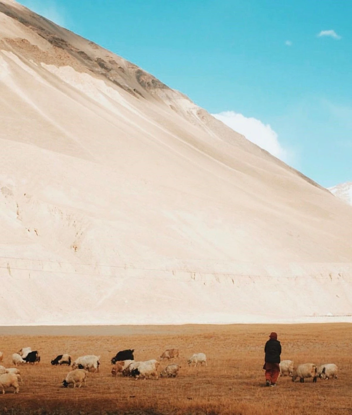 ทริปสุดเก๋ของ พรอยมน ตะลุยเลห์ลาดักห์..สวรรค์บนดินที่มีอยู่จริง