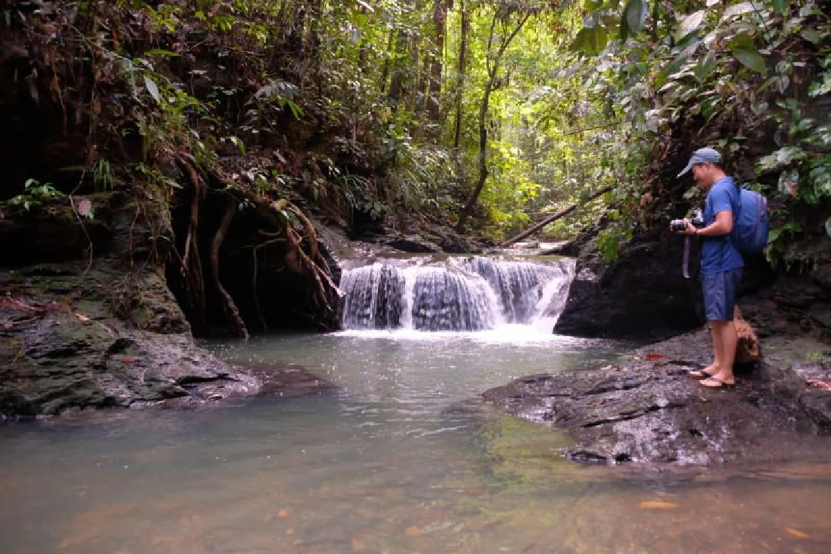 เที่ยวบรูไน... กับฟ้าใสๆ และไม้เขียวๆ