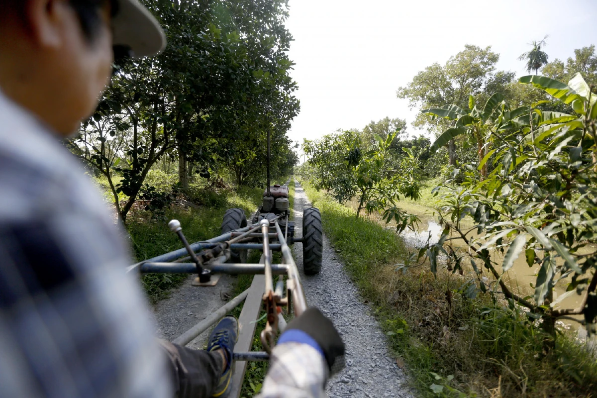 คลองมหาสวัสดิ์อิ่มแปล้ ชิมของแท้จากสวน