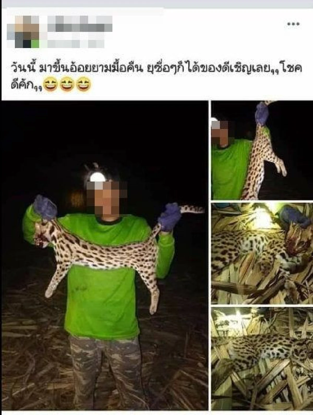 วัยรุ่นโชว์ภาพซาก "แมวดาว" ที่ยิงมากินได้