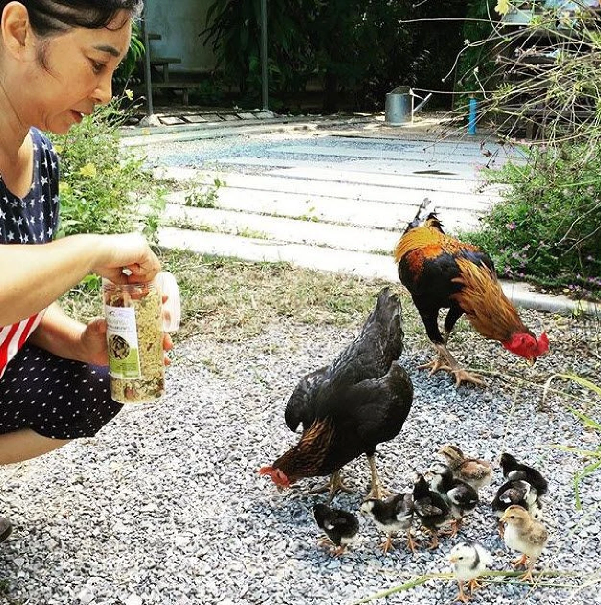 ส่องบ้านสวนนักแสดงรุ่นใหญ่ “หม่อมอูม” ใช้ชีวิตกับธรรมชาติทำสวนผัก เลี้ยงเป็ดไก่ที่ จ.เลย