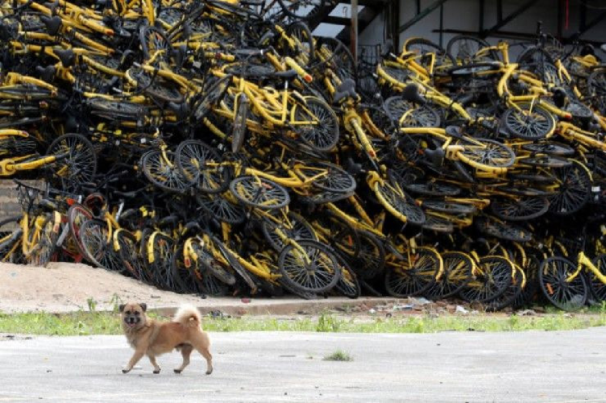 Ofo ไบค์แชร์ริ่งดังของจีนเตรียมยื่นล้มละลาย Ofo ไบค์แชร์ริ่งดังของจีนเตรียมยื่นล้มละลาย