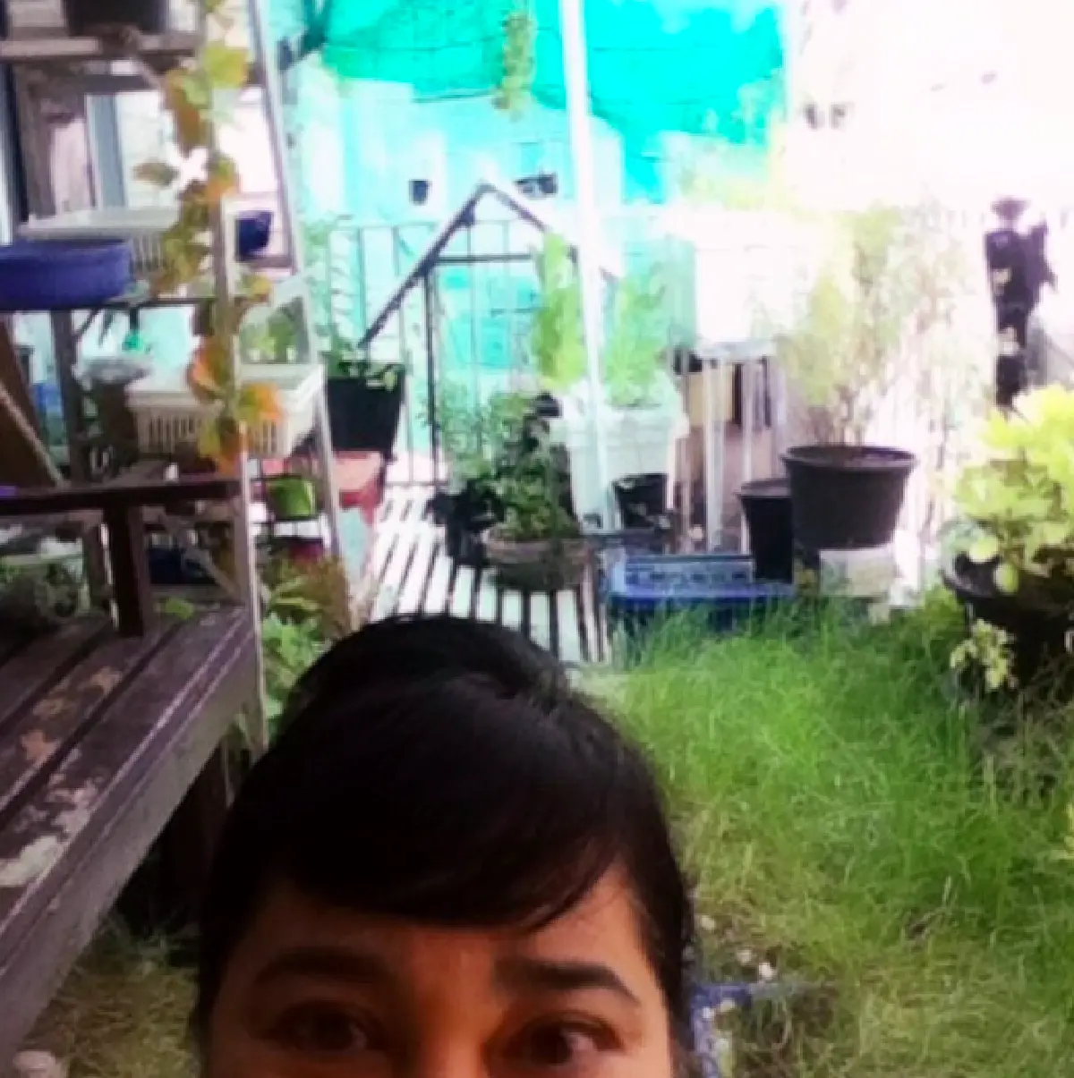 ส่องบ้านสวนนักแสดงรุ่นใหญ่ “หม่อมอูม” ใช้ชีวิตกับธรรมชาติทำสวนผัก เลี้ยงเป็ดไก่ที่ จ.เลย