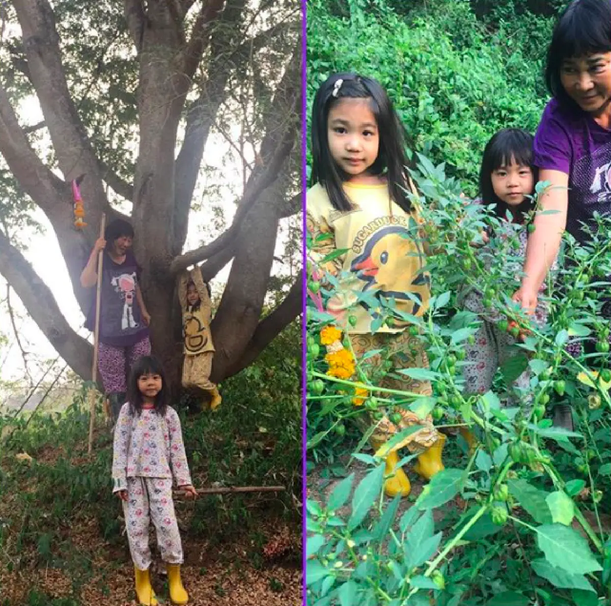 ส่องบ้านสวนนักแสดงรุ่นใหญ่ “หม่อมอูม” ใช้ชีวิตกับธรรมชาติทำสวนผัก เลี้ยงเป็ดไก่ที่ จ.เลย