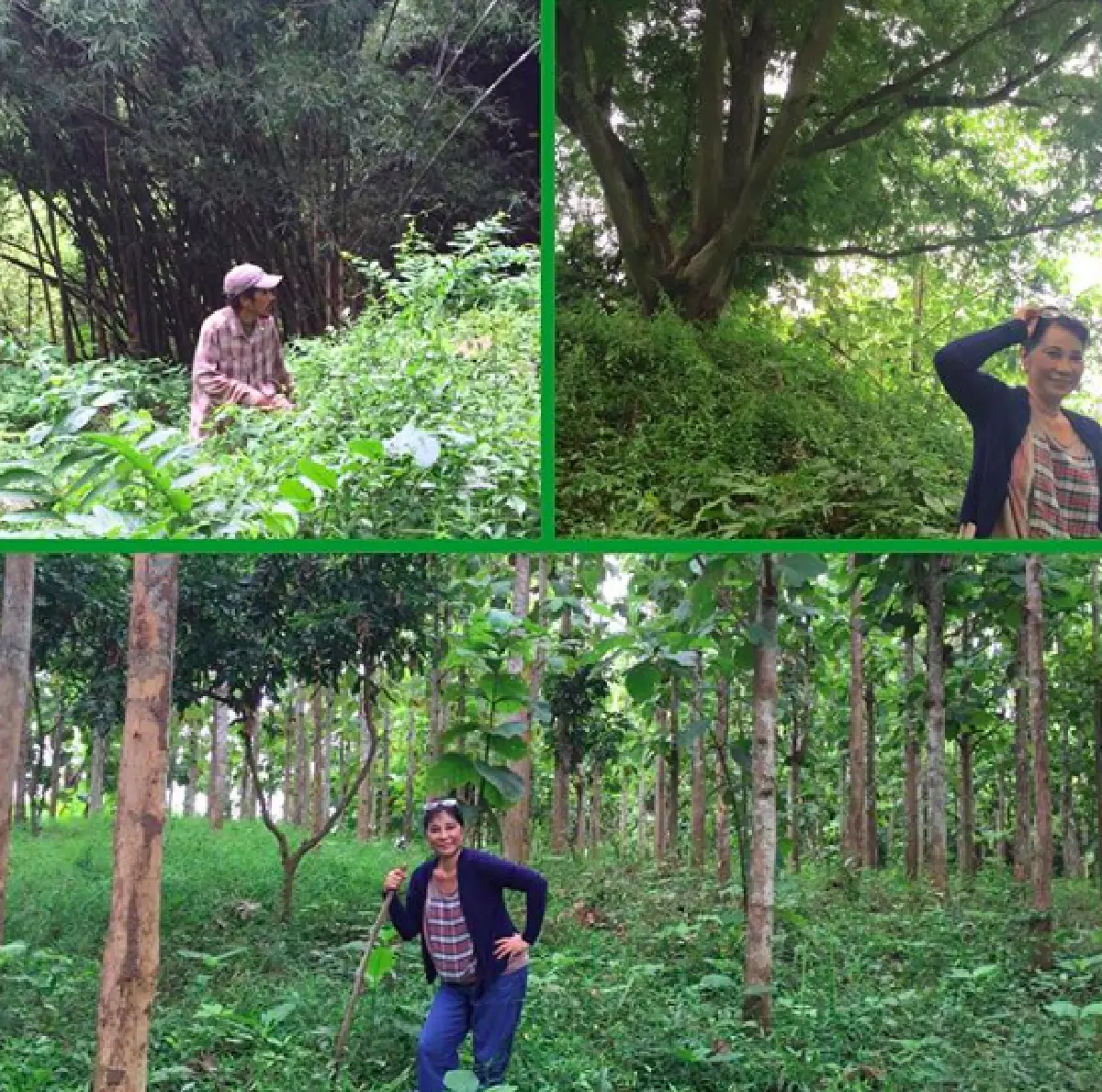 ส่องบ้านสวนนักแสดงรุ่นใหญ่ “หม่อมอูม” ใช้ชีวิตกับธรรมชาติทำสวนผัก เลี้ยงเป็ดไก่ที่ จ.เลย