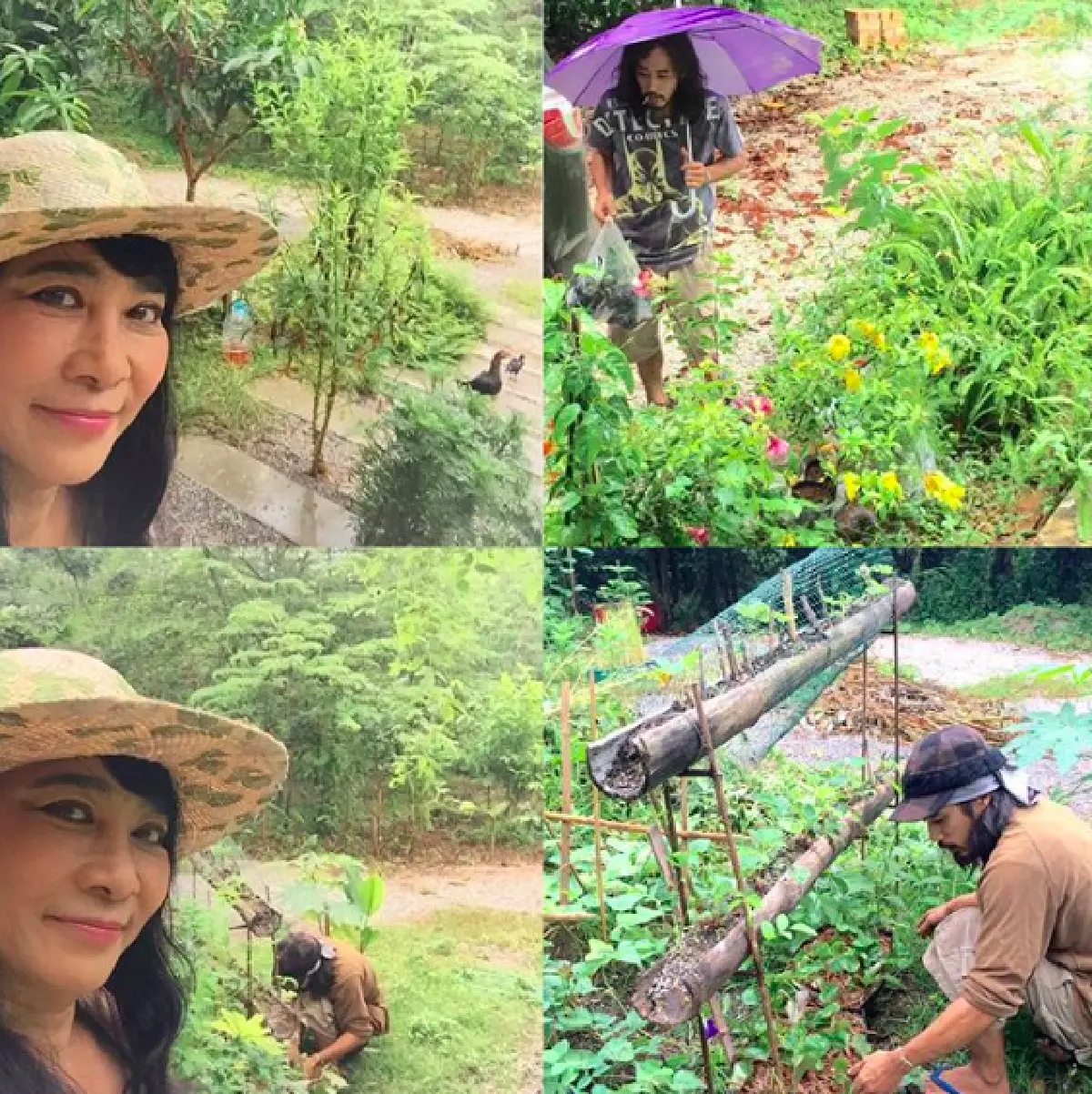 ส่องบ้านสวนนักแสดงรุ่นใหญ่ “หม่อมอูม” ใช้ชีวิตกับธรรมชาติทำสวนผัก เลี้ยงเป็ดไก่ที่ จ.เลย