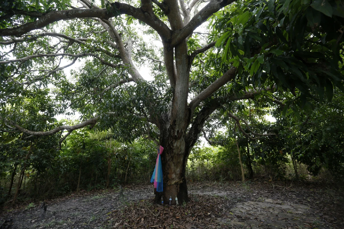 ห้องเรียนธรรมชาติ ‘สวนพฤกษศาสตร์ระยอง’