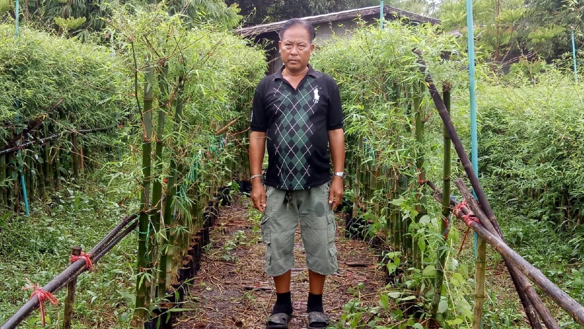 เพาะชำตอไผ่เลี้ยงขาย โกยรายได้เดือนละห้าหมื่น