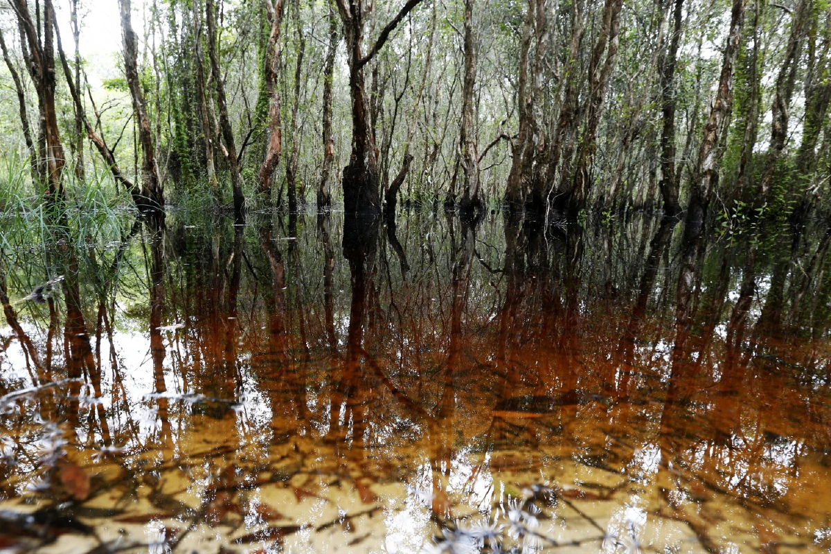 ห้องเรียนธรรมชาติ ‘สวนพฤกษศาสตร์ระยอง’