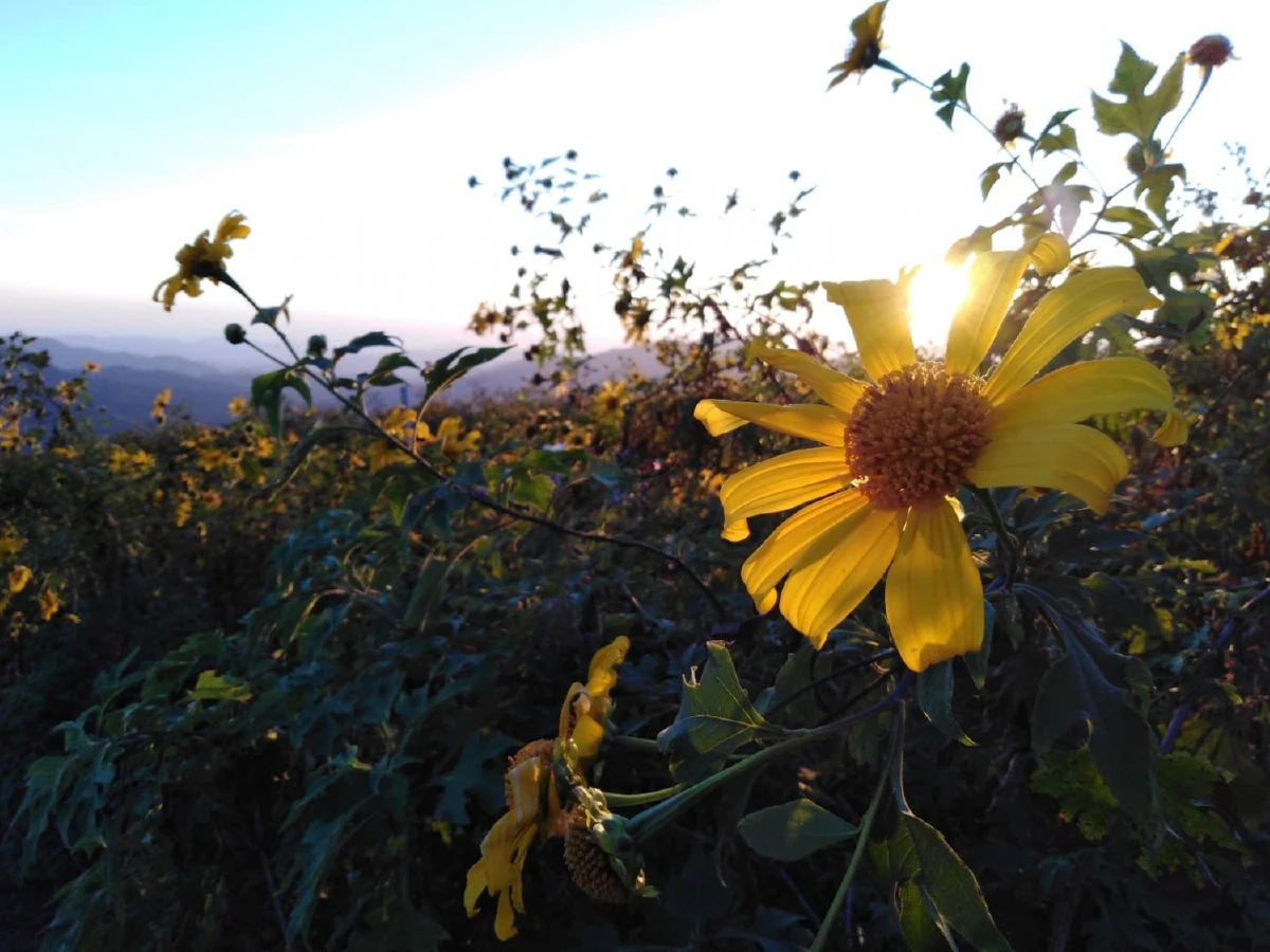 ดอยแม่อูคอ 1 เดือนแสนสั้น แต่สุขนั้นยาวนาน