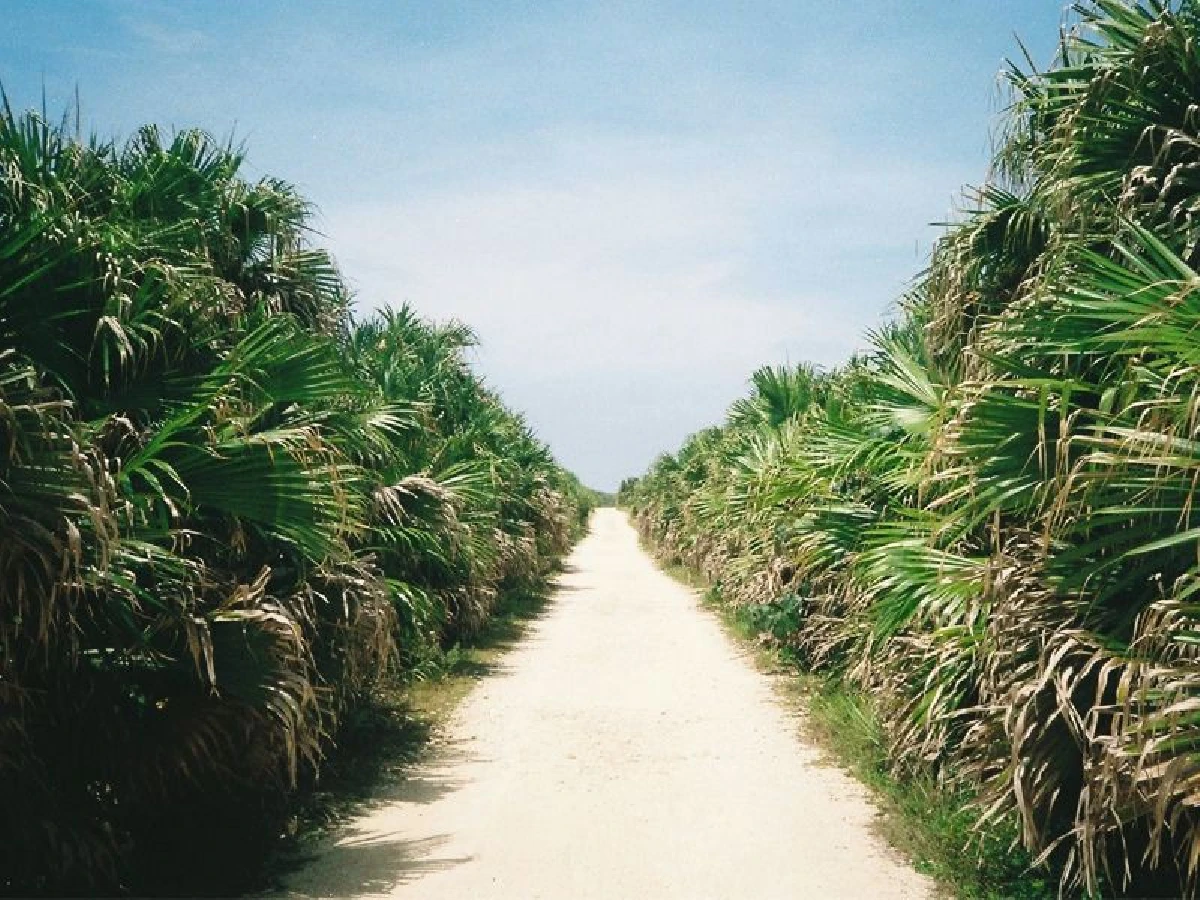 ขับไปเที่ยวไป ในโอกินาวา (7)